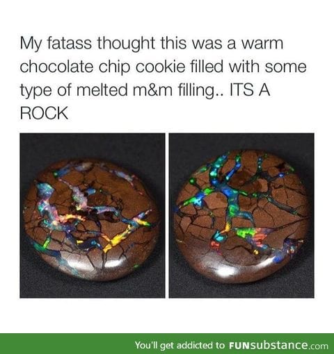 A rock that looks like a chocolate chip cookie
