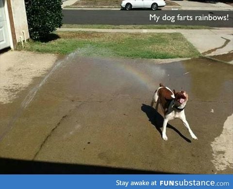 Rainbow farts