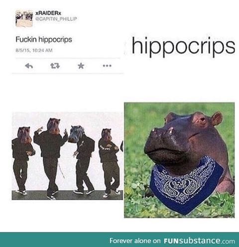 f*ckin hippocrips