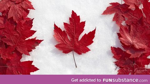 Here's a "natural" Canadian flag