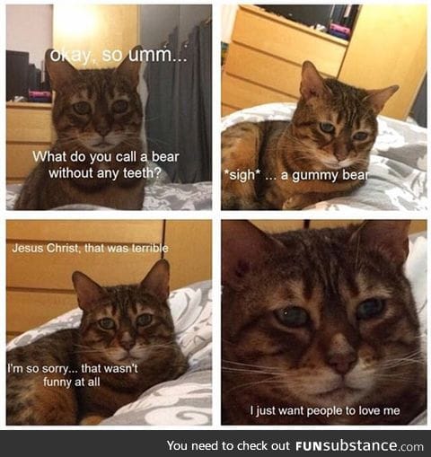 Saddest cat in the world tells a joke