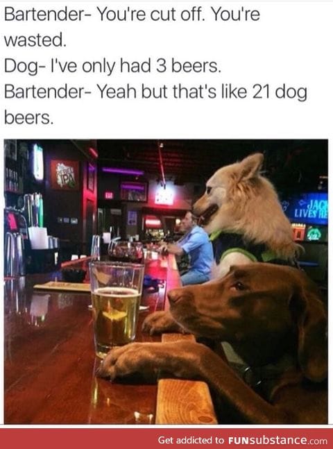 Dog beers