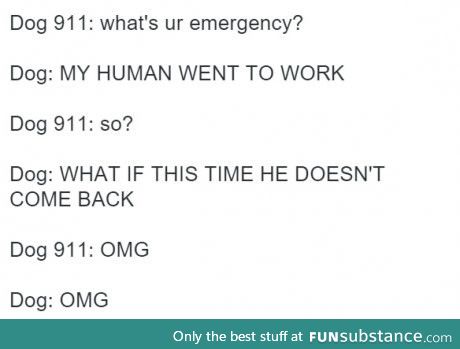 Doggy 911