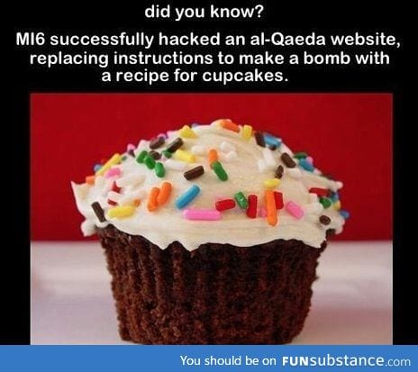 Those Cupcakes Were The Bomb!