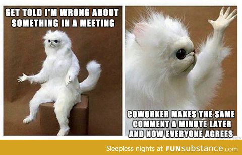 I just don't talk in meetings anymore