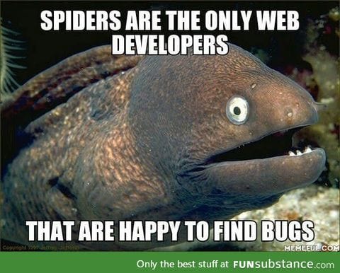 Spiders are the original web developers