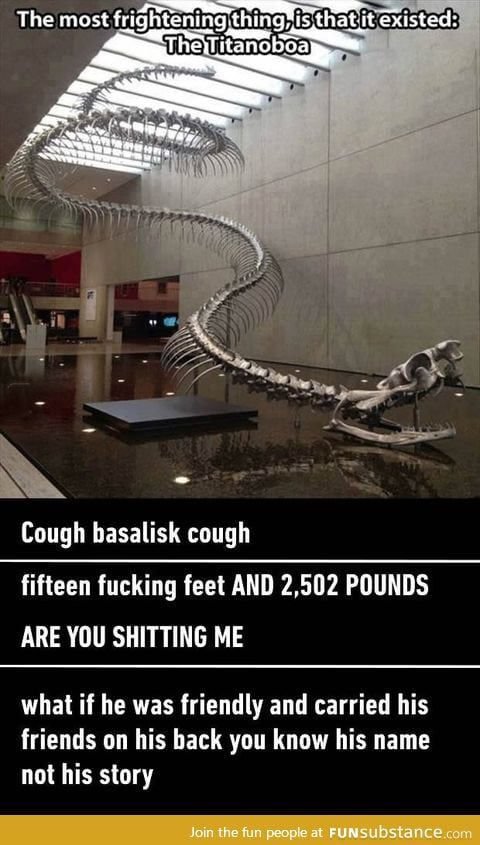 The scary skeleton of a Titanoboa