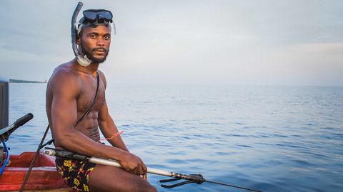 Lionfish is an invasive species that destroys reefs, here's how we are adapting