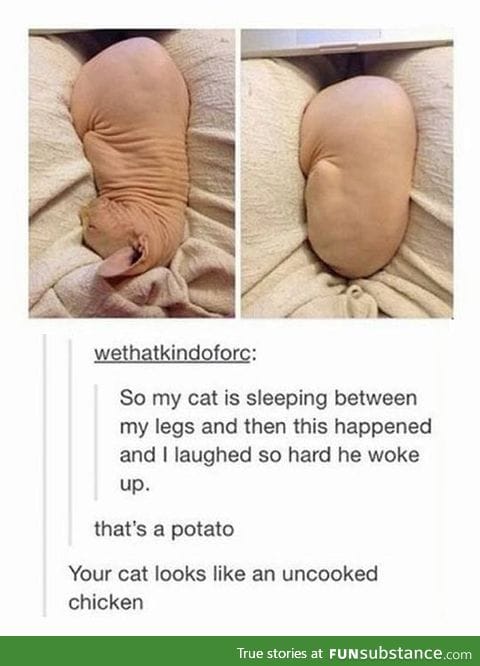 That's A Potato