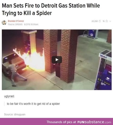 Set fire to the whole gas station cause there's a spider