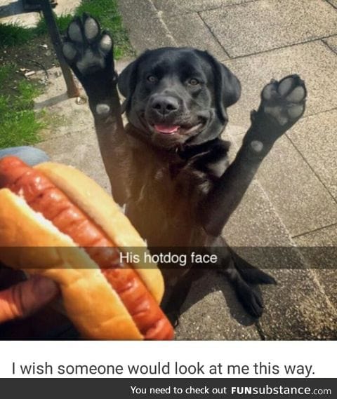 Hot dog