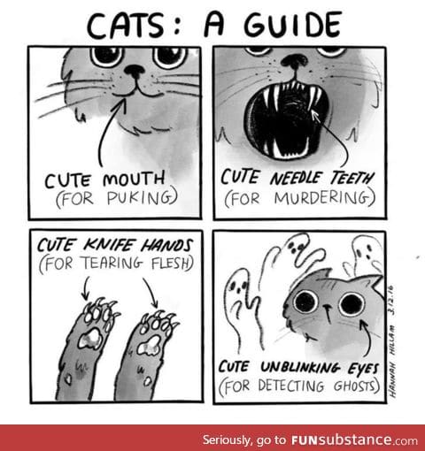 Cat guide