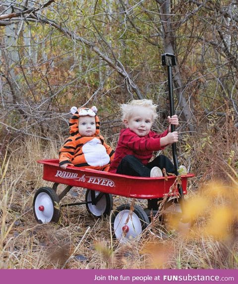 Little calvin and hobbes out for a ride