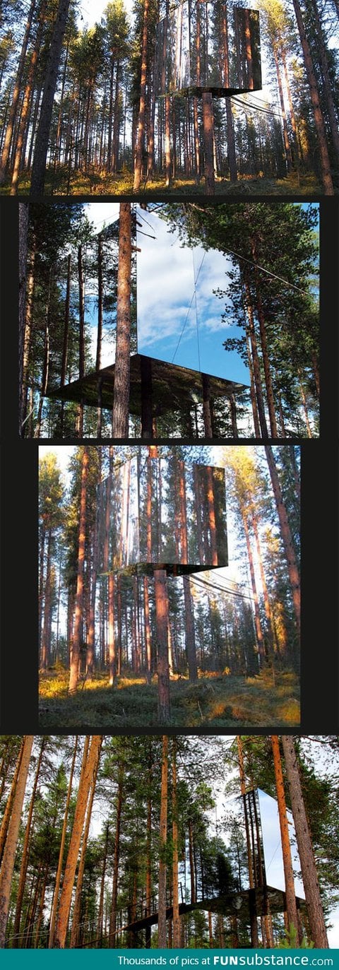 Mysterious Mirror Treehouse in Sweden