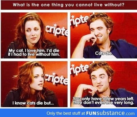 Kristen Stewart on cats