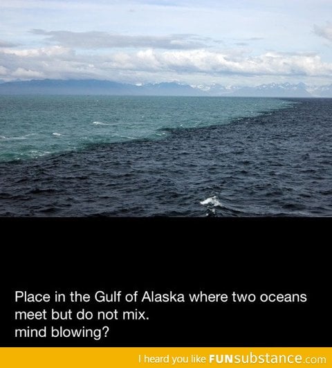 Mind blowing Gulf of Alaska fact