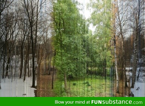 A picture made of 365 slices. Each slice is a day of the year