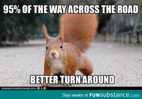 Squirrel Logic