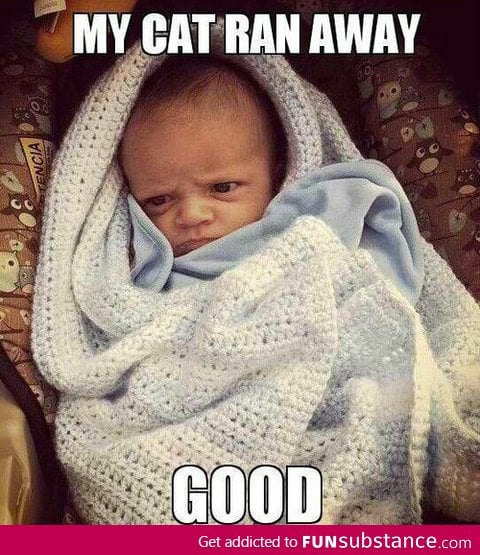 New Grumpy Baby Meme Maybe