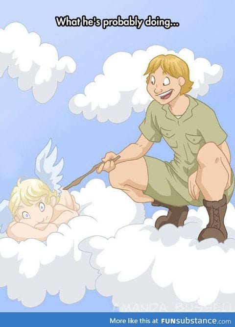 Steve irwin right now