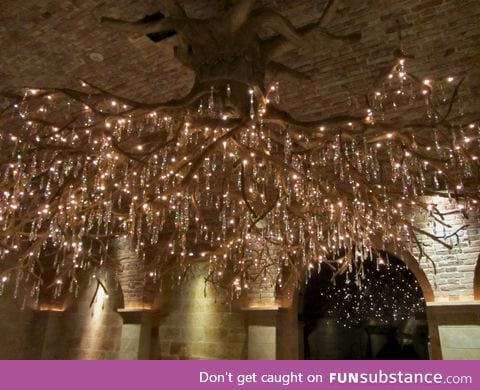 Tree root chandelier