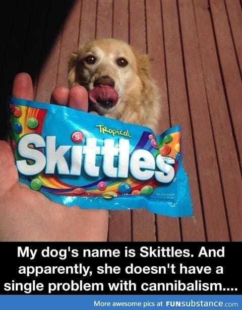 Repost because Skittles missed National Puppy Day by a night. RIP.