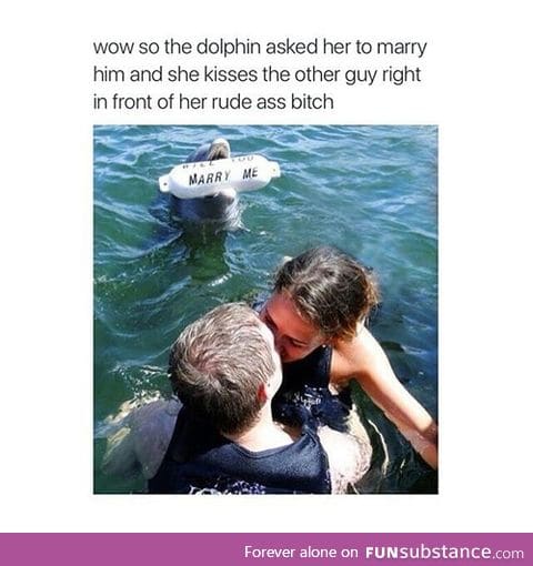 Poor dolphin