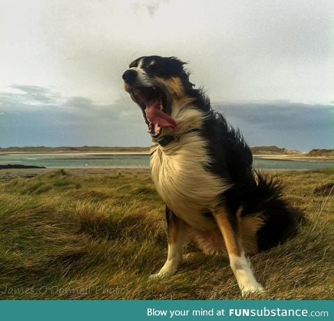 Windy day in Ireland