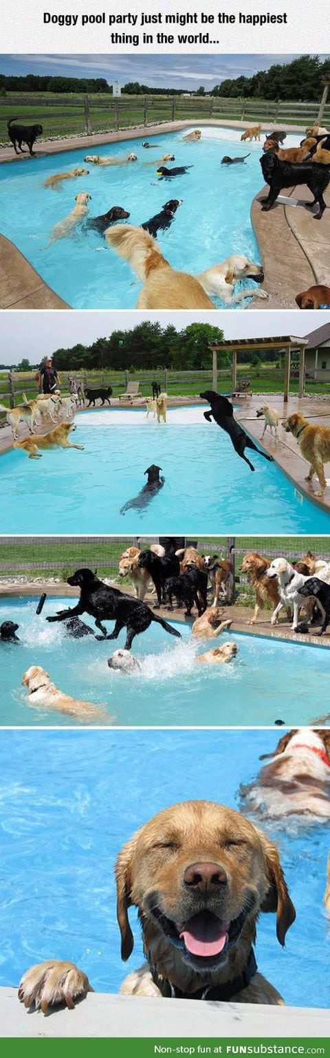 Happiest pool party in the world