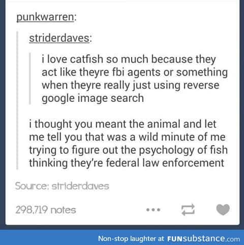 FBI Catfish