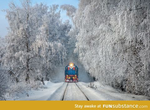 Perfect shot - Russia, Winter 2016