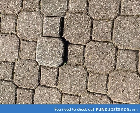 If games have taught me anything, I'm supposed to step on this