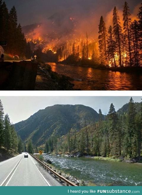 Forrest fires in Washington last year