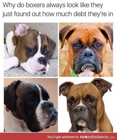 Boxers in debt