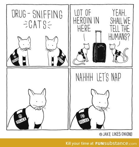 Drug-sniffing cats