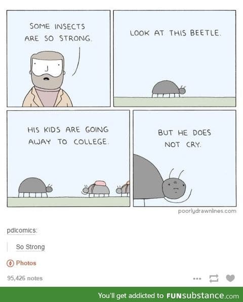 Emotionally Strong Beetle