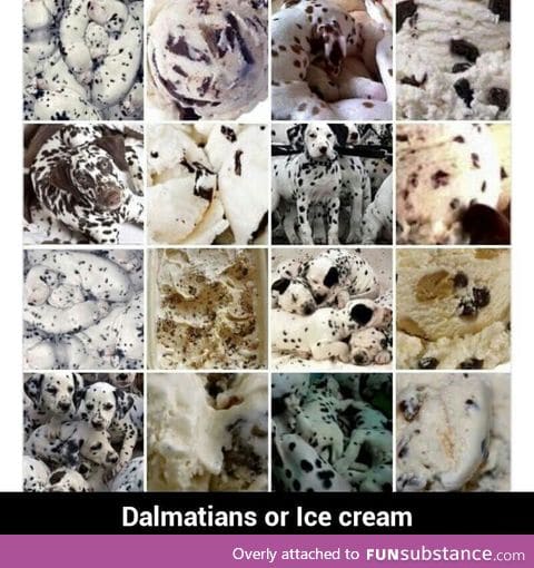 Dalmatians or Ice Cream?