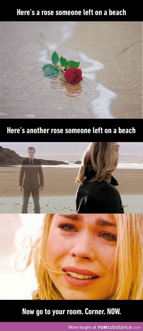 Here's a rose someone left on a beach