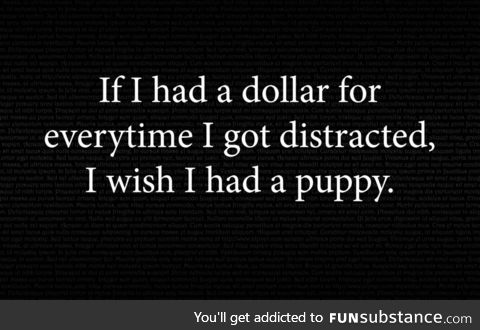 I wish I had a puppy too!