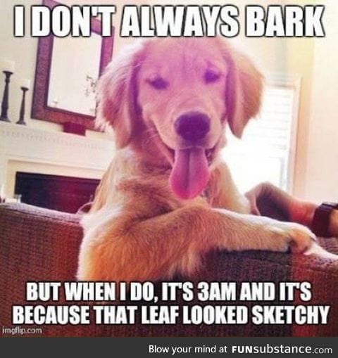 Barking dog logic