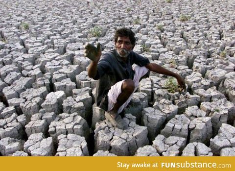 Indian farmer on his formerly productive land now rendered barren by drought