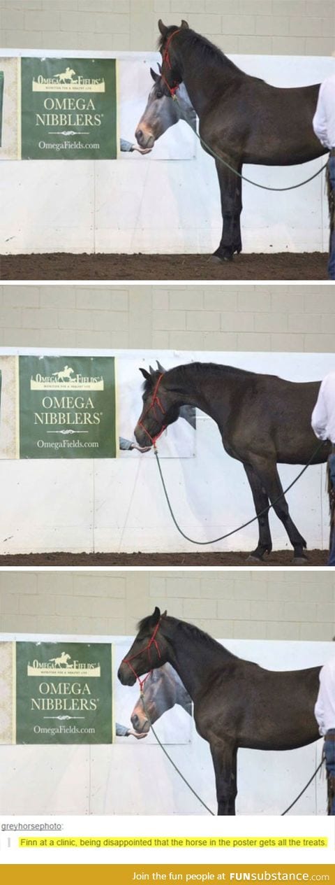 The horse wanted to eat out of a poster