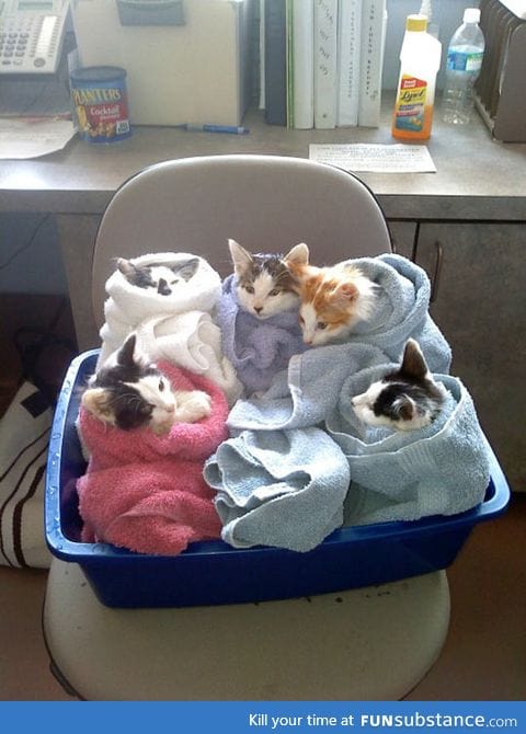 Here's Your Order Of Purritos