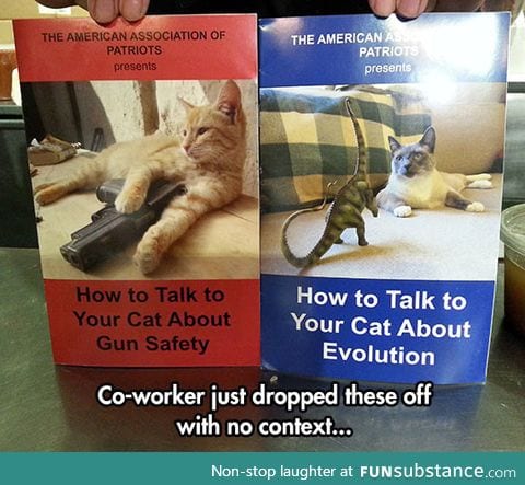 Kitty education is important