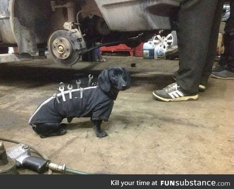 Chief mechanic