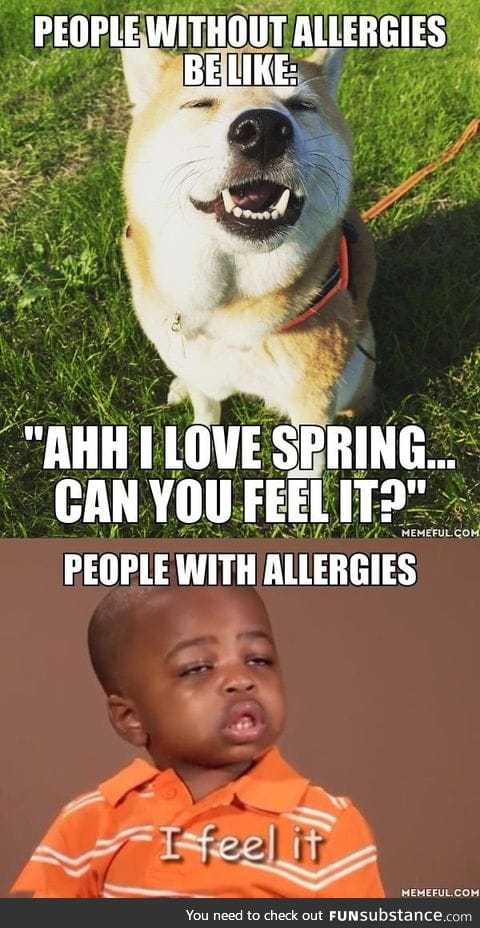 And the allergy season is upon us