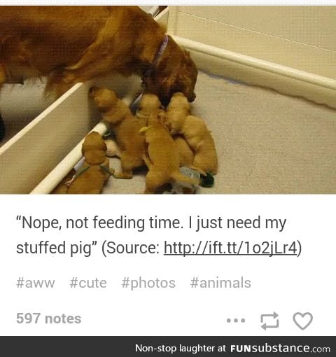 BUT THE BABIES ARE HUNGRY!