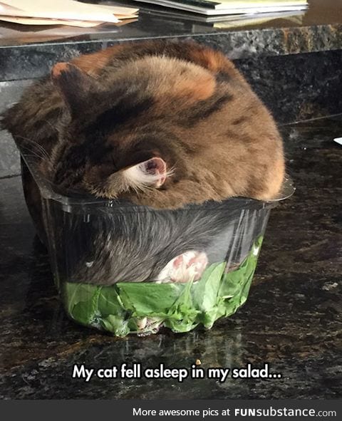 Such a cozy salad