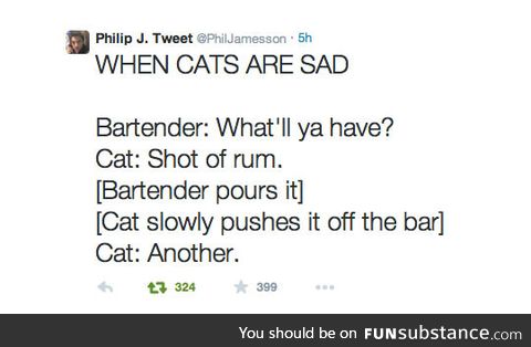 Sad cat walks into a bar