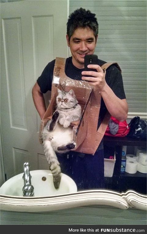 DIY cat chest harness